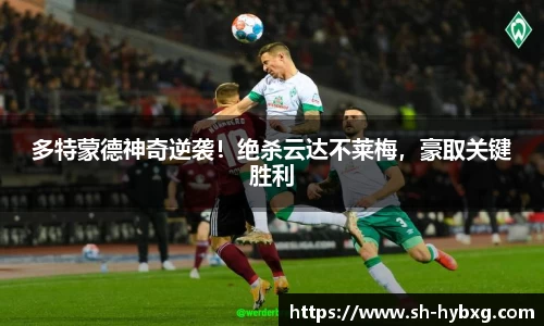 yy易游体育