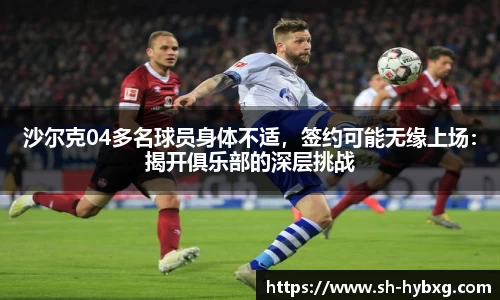 yy体育