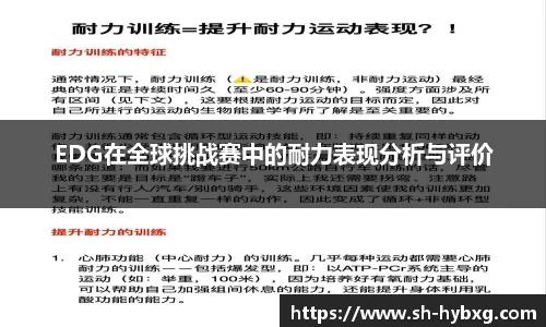 yy体育