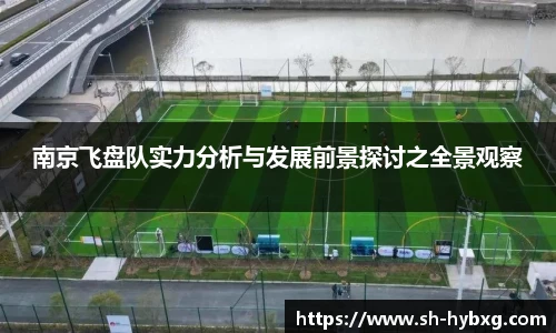 南京飞盘队实力分析与发展前景探讨之全景观察