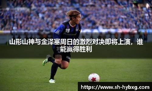 yy易游体育