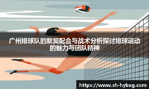 广州排球队的默契配合与战术分析探讨排球运动的魅力与团队精神