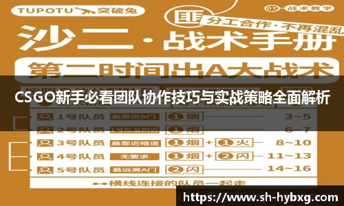 CSGO新手必看团队协作技巧与实战策略全面解析