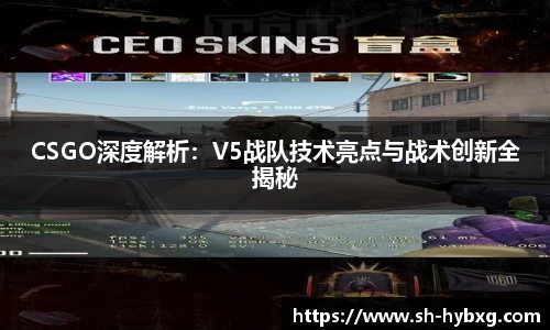 CSGO深度解析：V5战队技术亮点与战术创新全揭秘